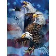 Patriotic Eagles 1000pc