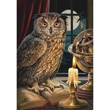 The Astrologer Owl