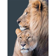 Lion Family Diamond Painting