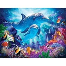 Dolphin Guardian 500 pc