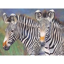 Paint-By-Numbers - Zebras