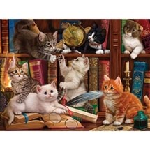 Library Kittens 1000 pc