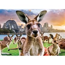 Kangaroo Park 1000pc Jigsaw Puzzle